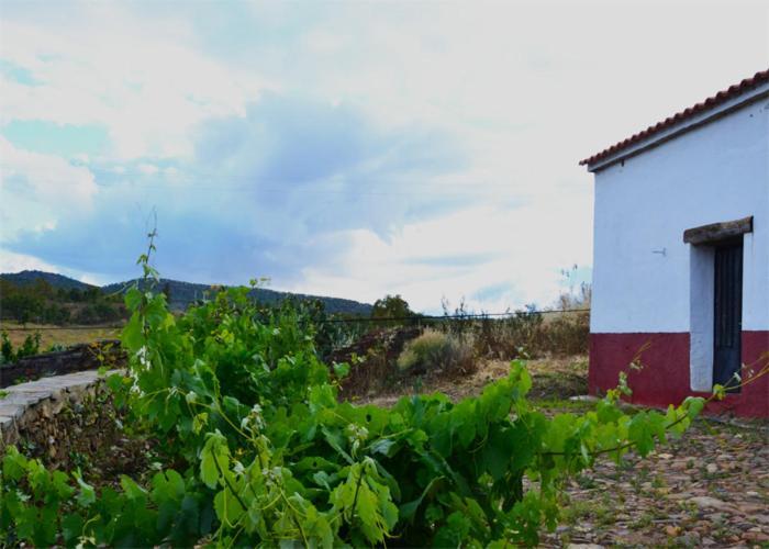 Casa Rural El Abuelo Alonso La Codosera Buitenkant foto